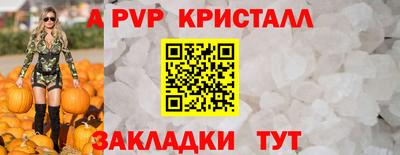 дживик Нальчик