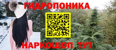 дживик Нальчик