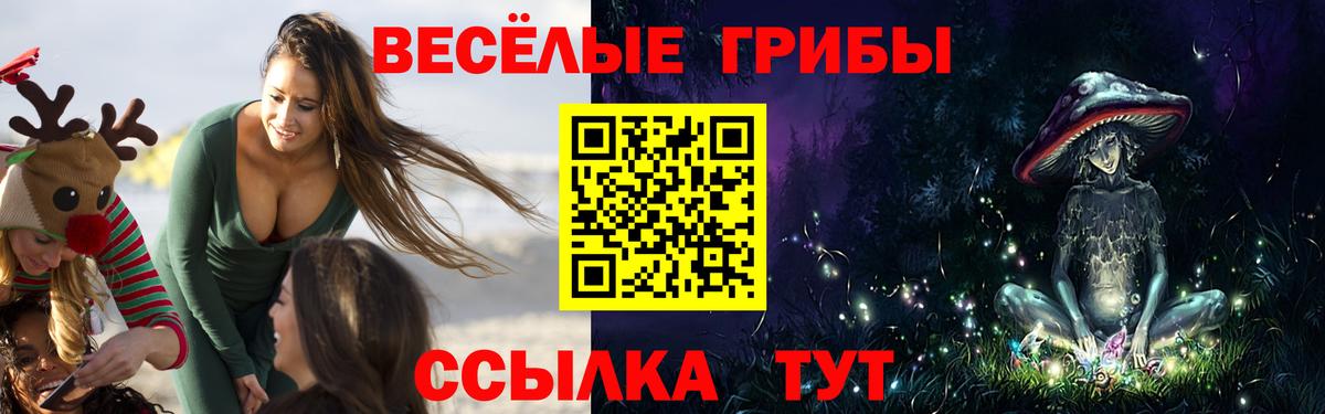 Галлюциногенные грибы Cubensis  Галлюциногенные грибы Psilocybe  Вход с VPN  Светлоград 
